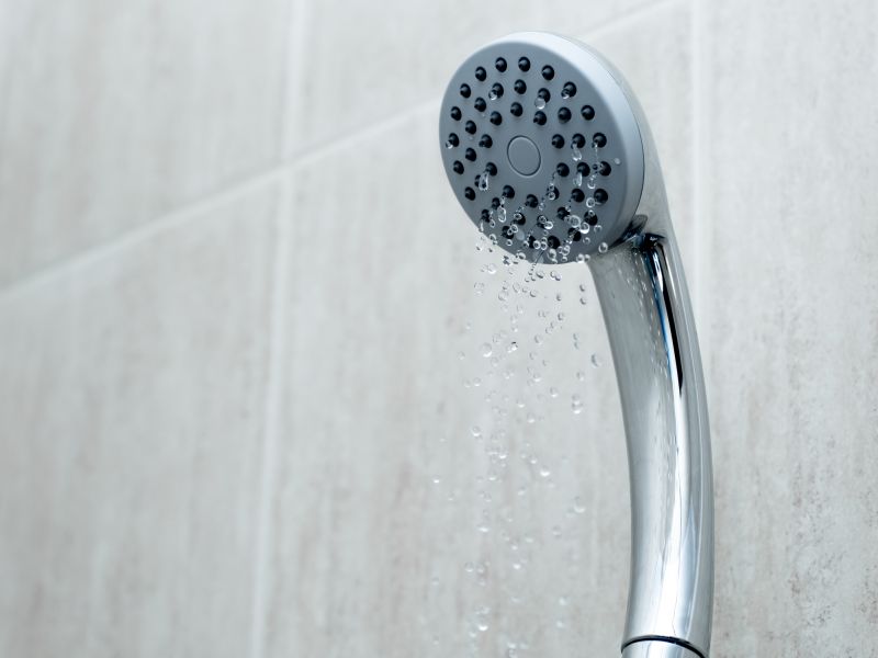Rainfall Shower Head